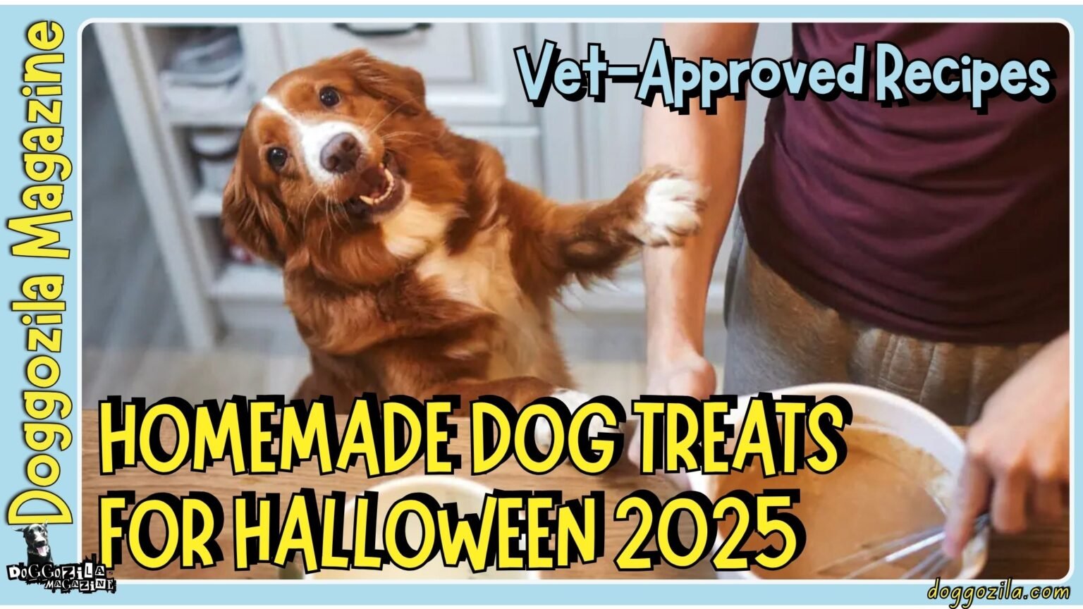 Homemade Dog Treats for Halloween Vet-Approved Recipes