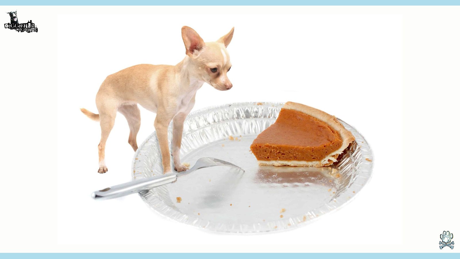 Homemade Dog Treats for Halloween Vet-Approved Recipes