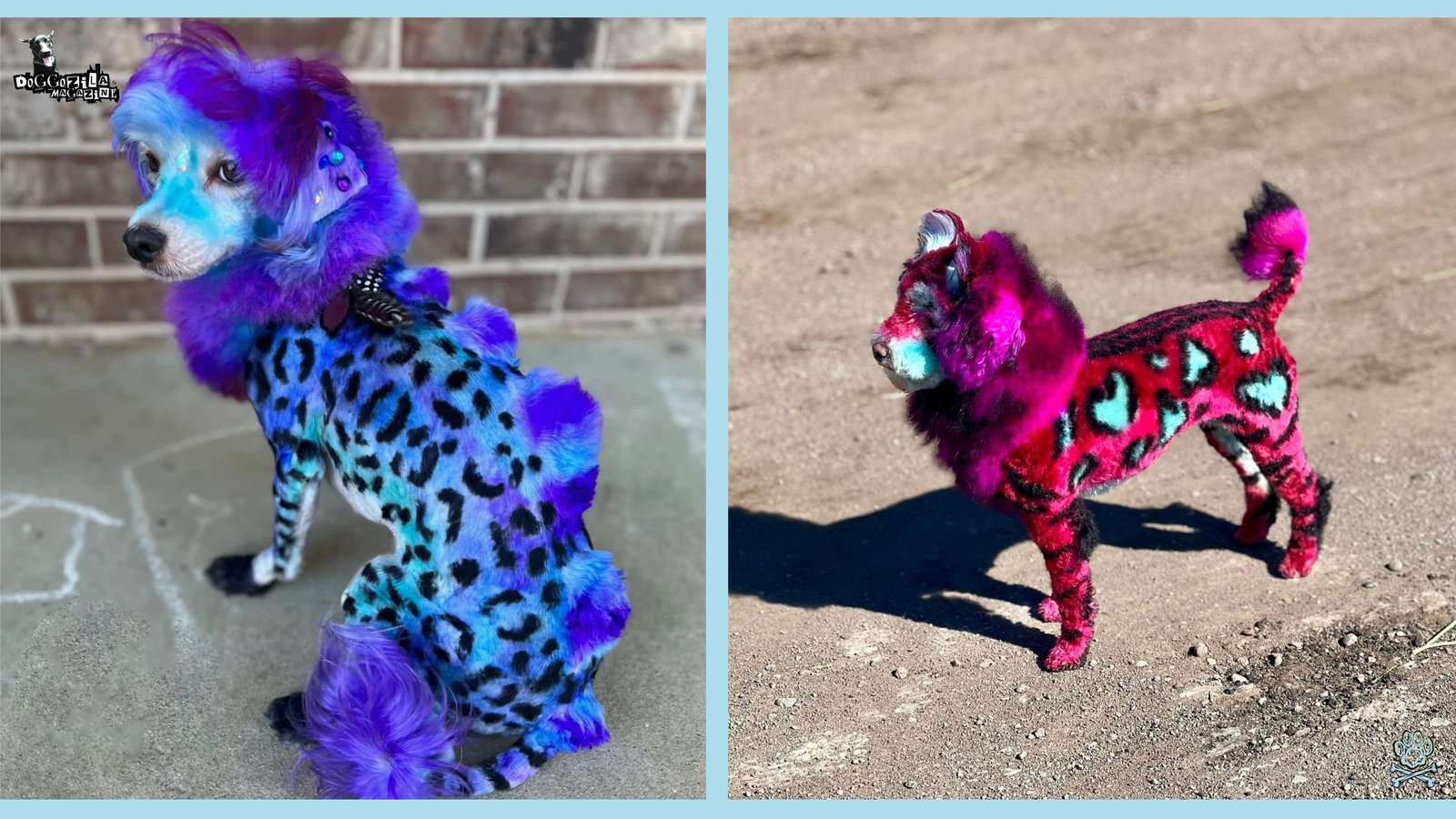 How to Dye Your Dog's Fur Safely for Halloween