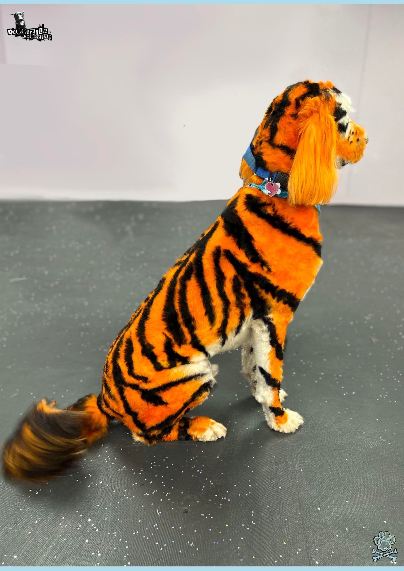 Tiger dog is Ready for Halloween Party