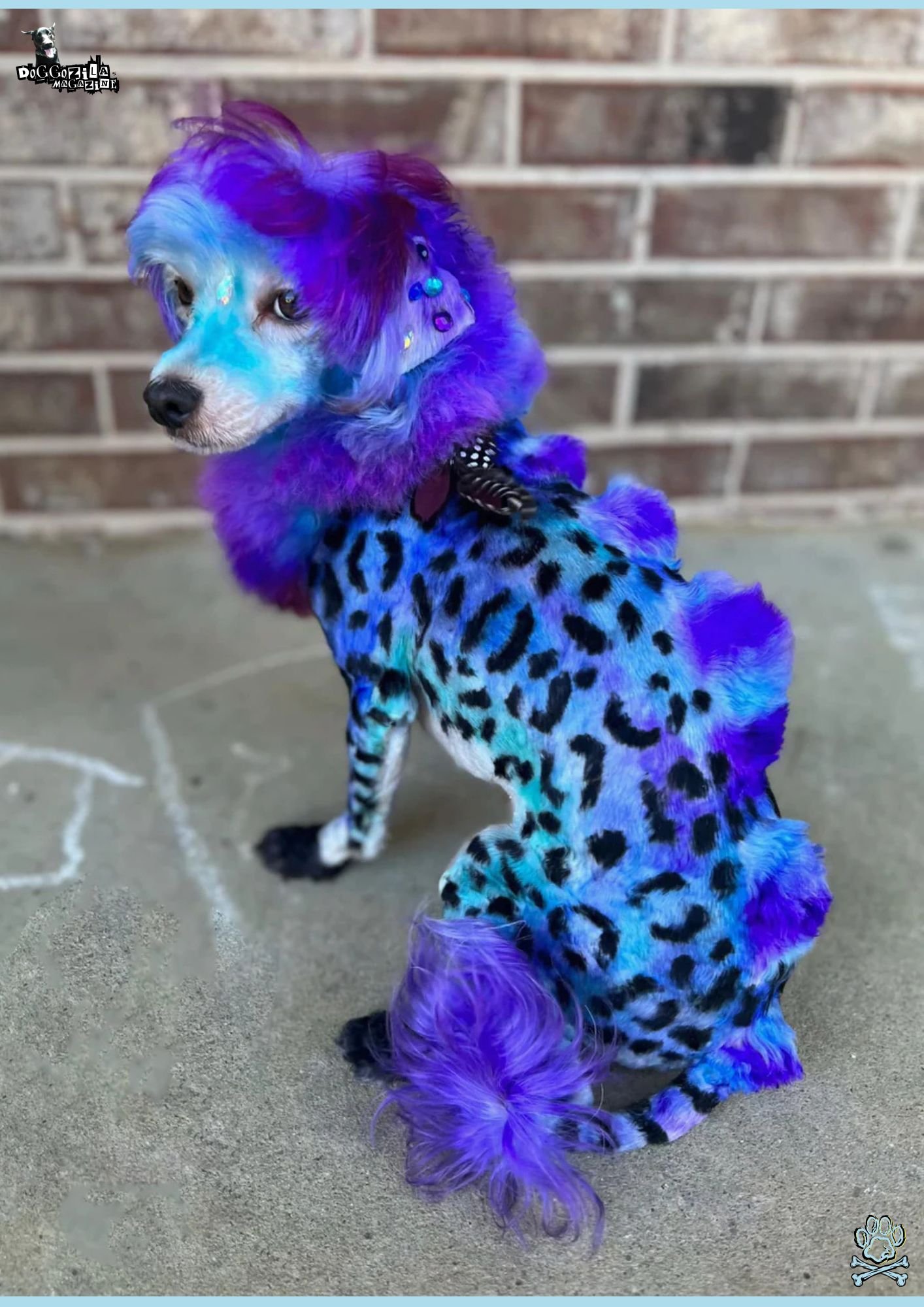 the puppy turn into purple tiger
