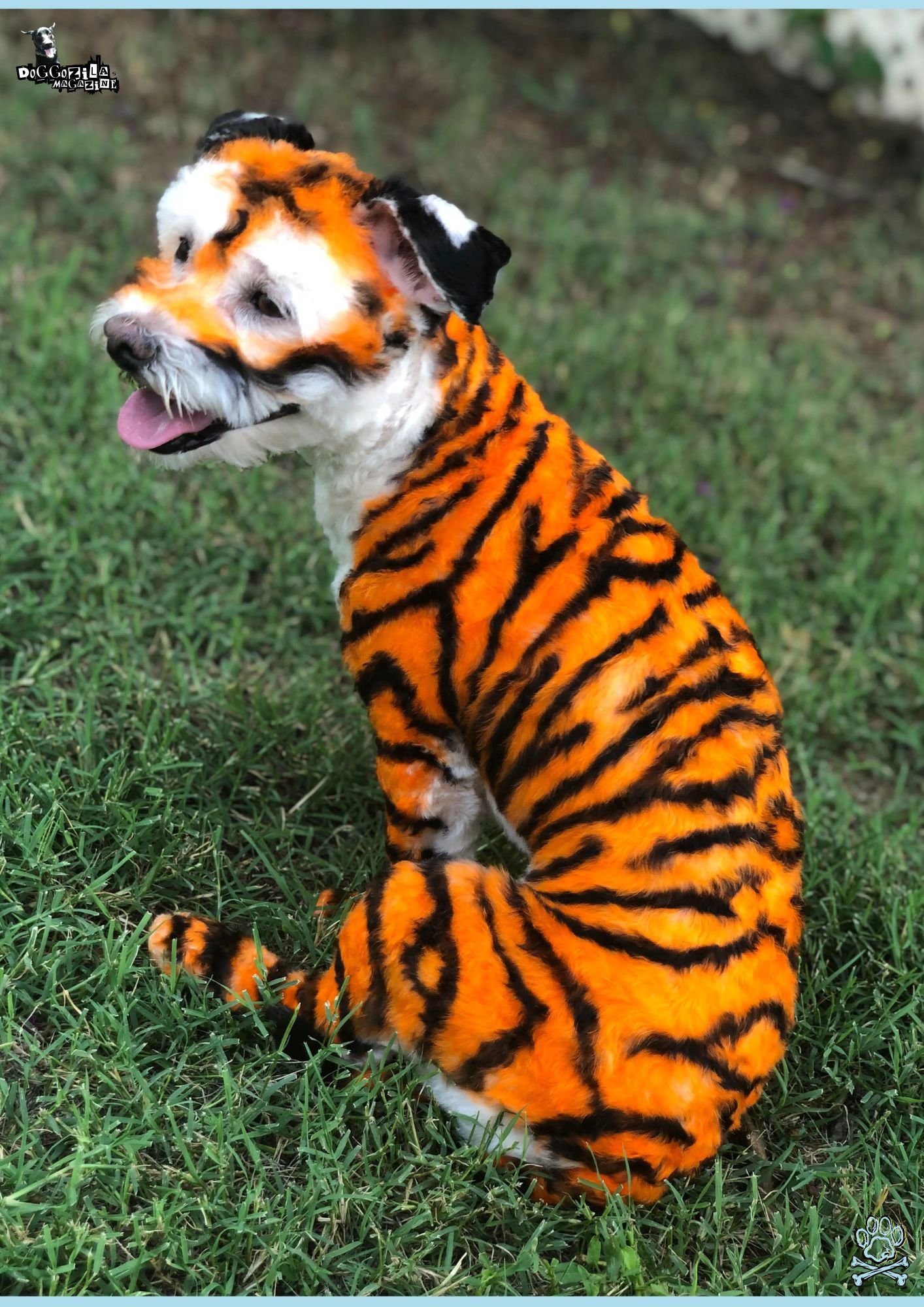 the dog turn into tiger