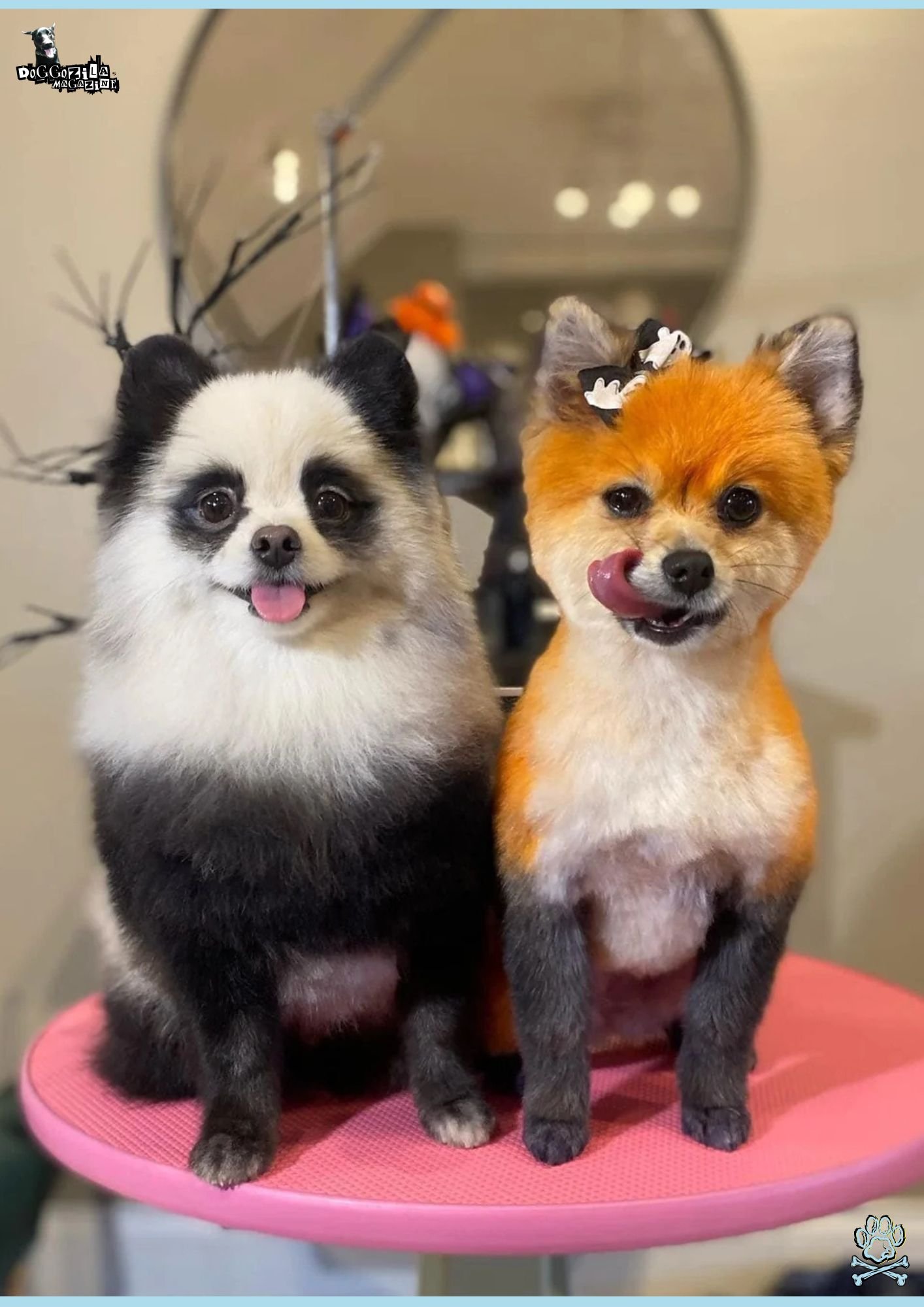 two cute puppies ready for the Halloween party