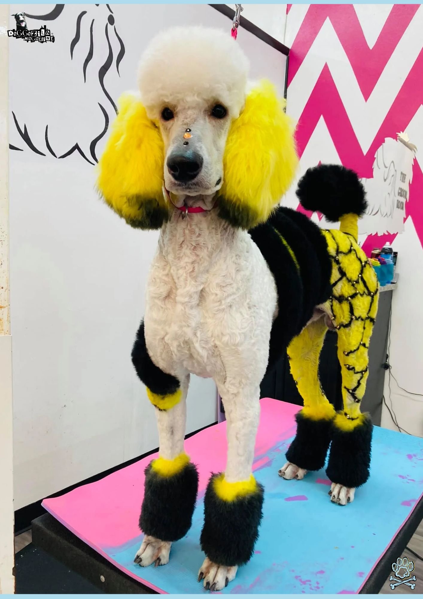 How to Dye Your Dog's Fur Safely for Halloween