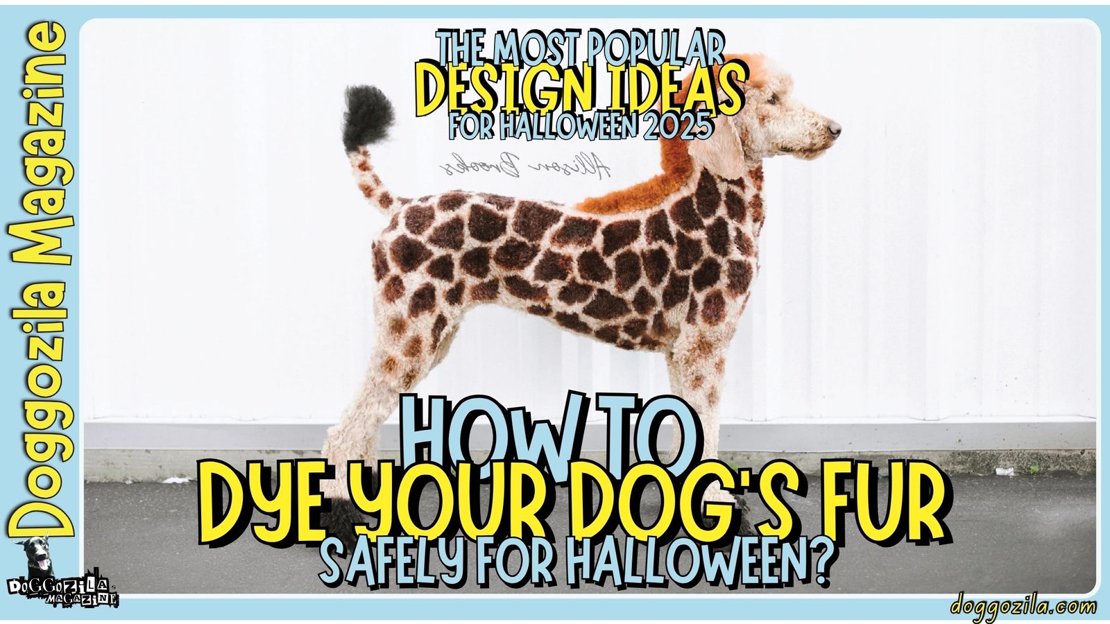 How to Dye Your Dog's Fur Safely for Halloween The Most Popular Design Ideas 2025