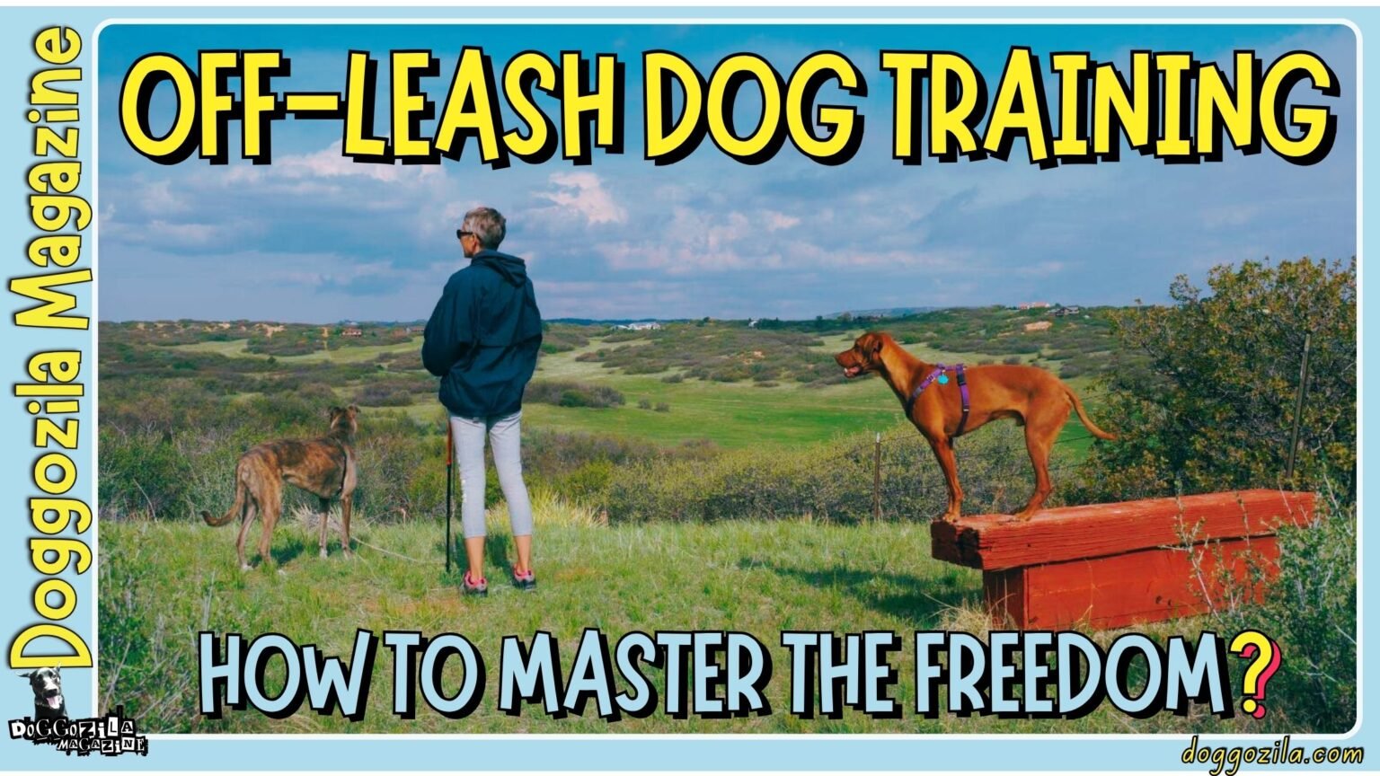 Off-Leash Dog Training - How To Master The Freedom?