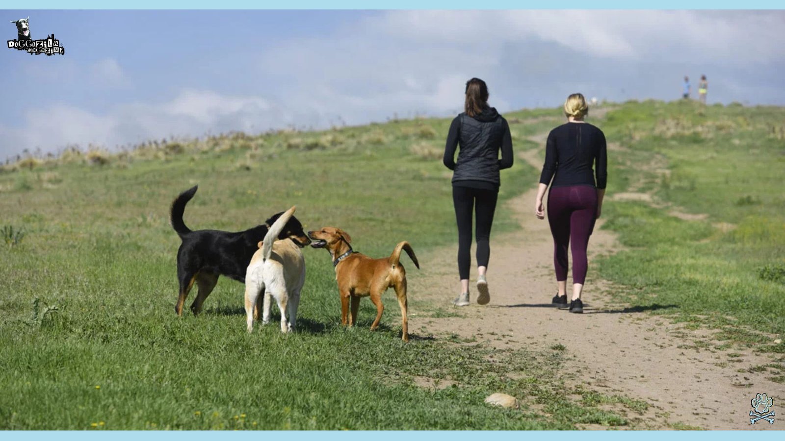 people mounting hiking with their dogs