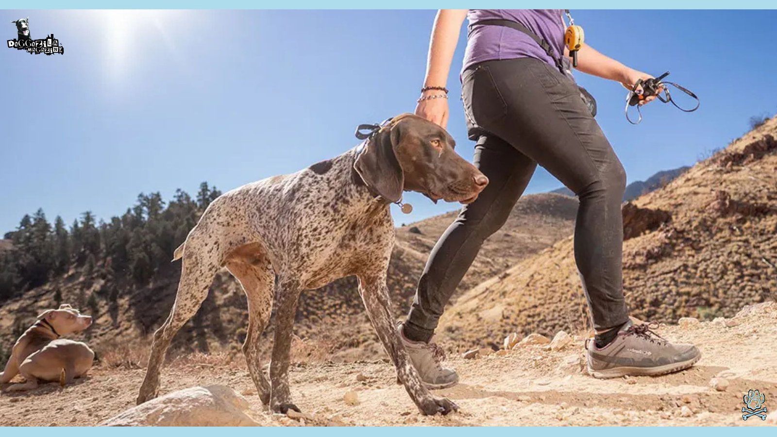 Off-Leash Dog Training while hiking