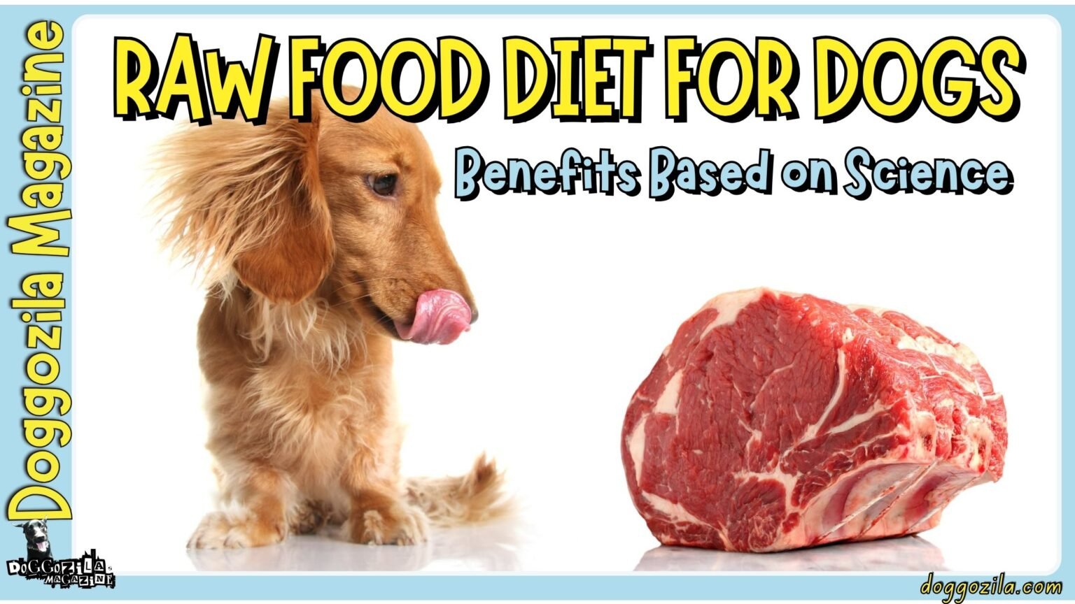 Raw Food Diet for Dogs Benefits Based on Science