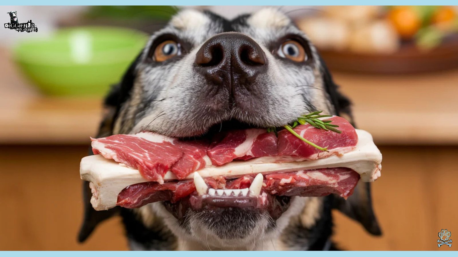 dog with a meat and bone in his mouth