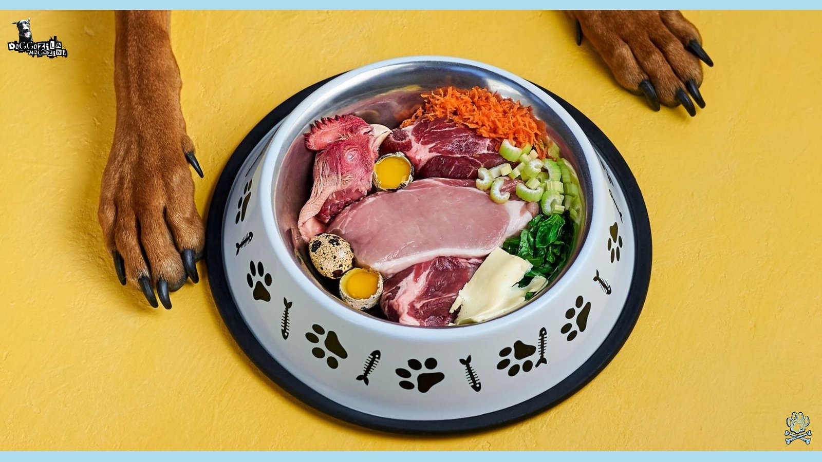 The Diet for dogs A Bowl of Raw Food
