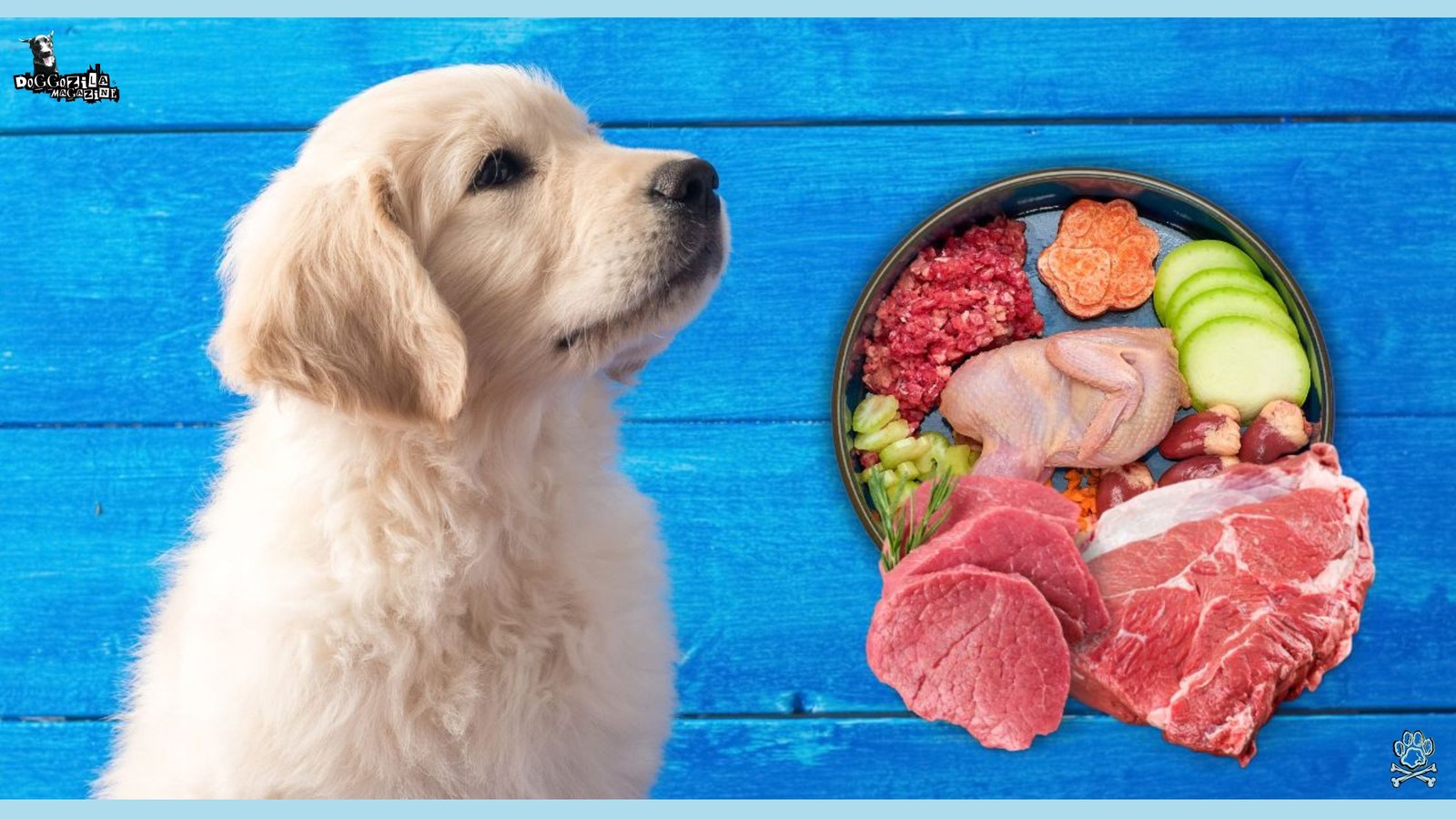 Raw Food Diet for Dogs