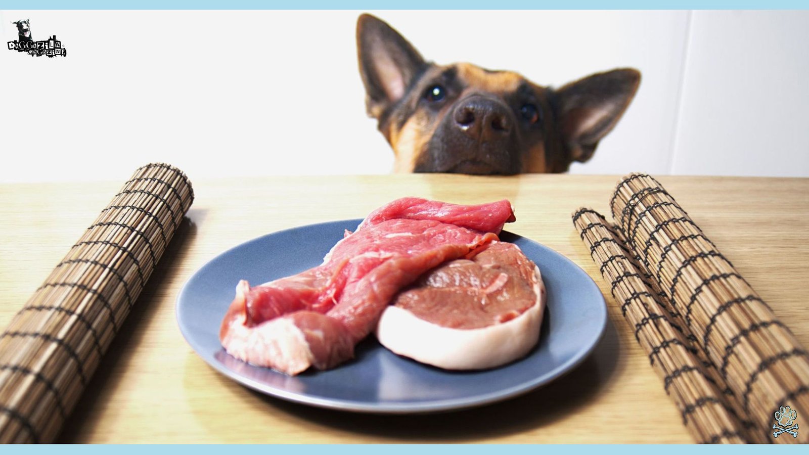 Raw Food Diet for Dogs