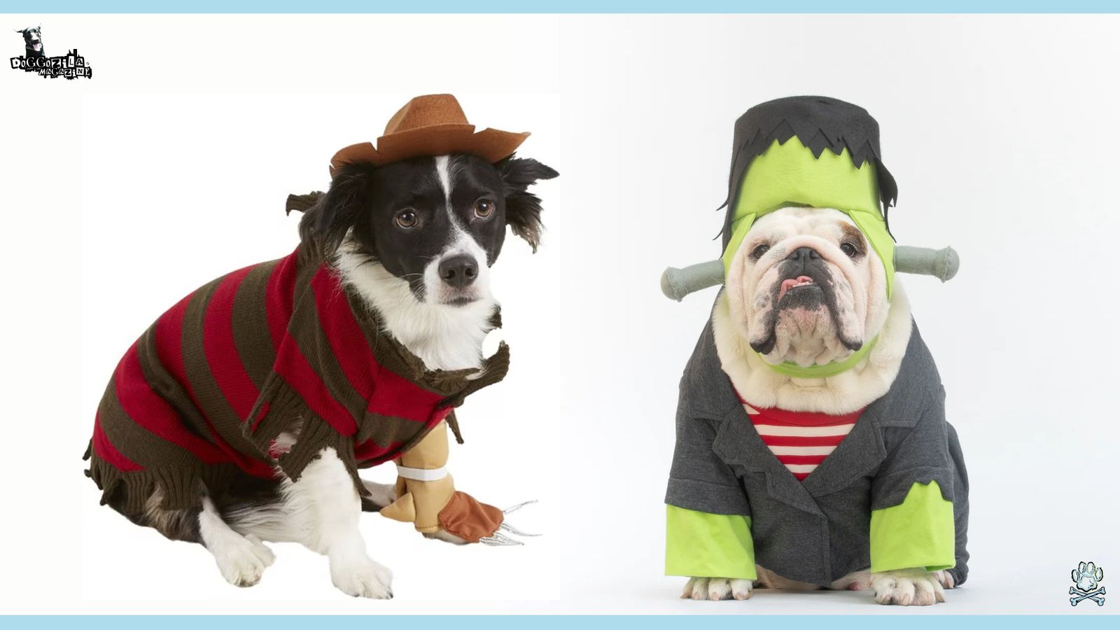 The Best Dog Halloween Costume Ideas