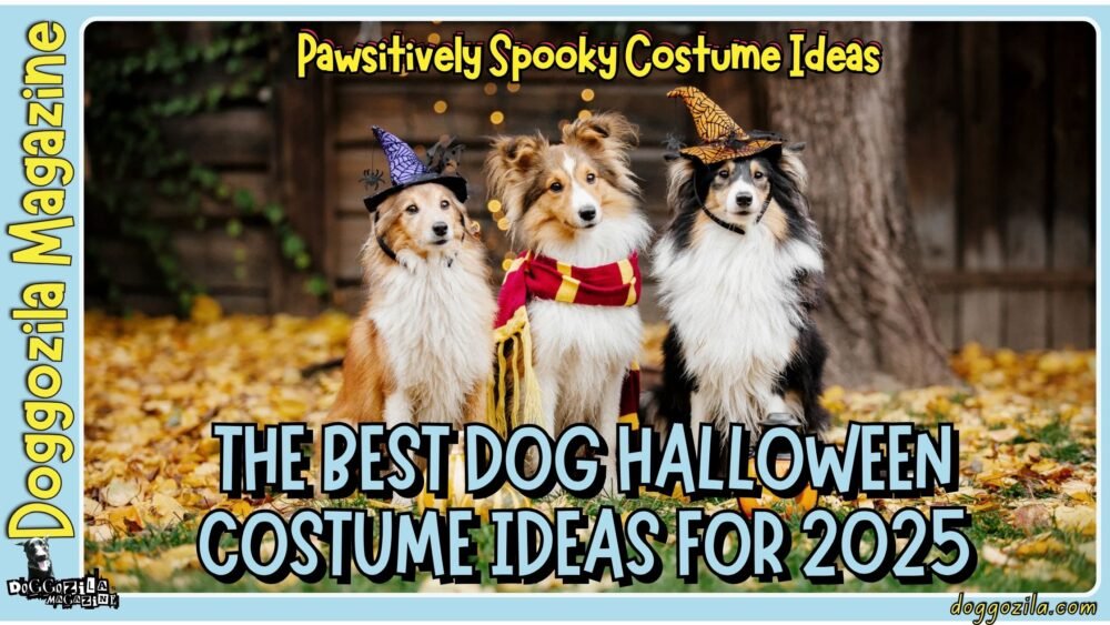 The Best Dog Halloween Costume Ideas