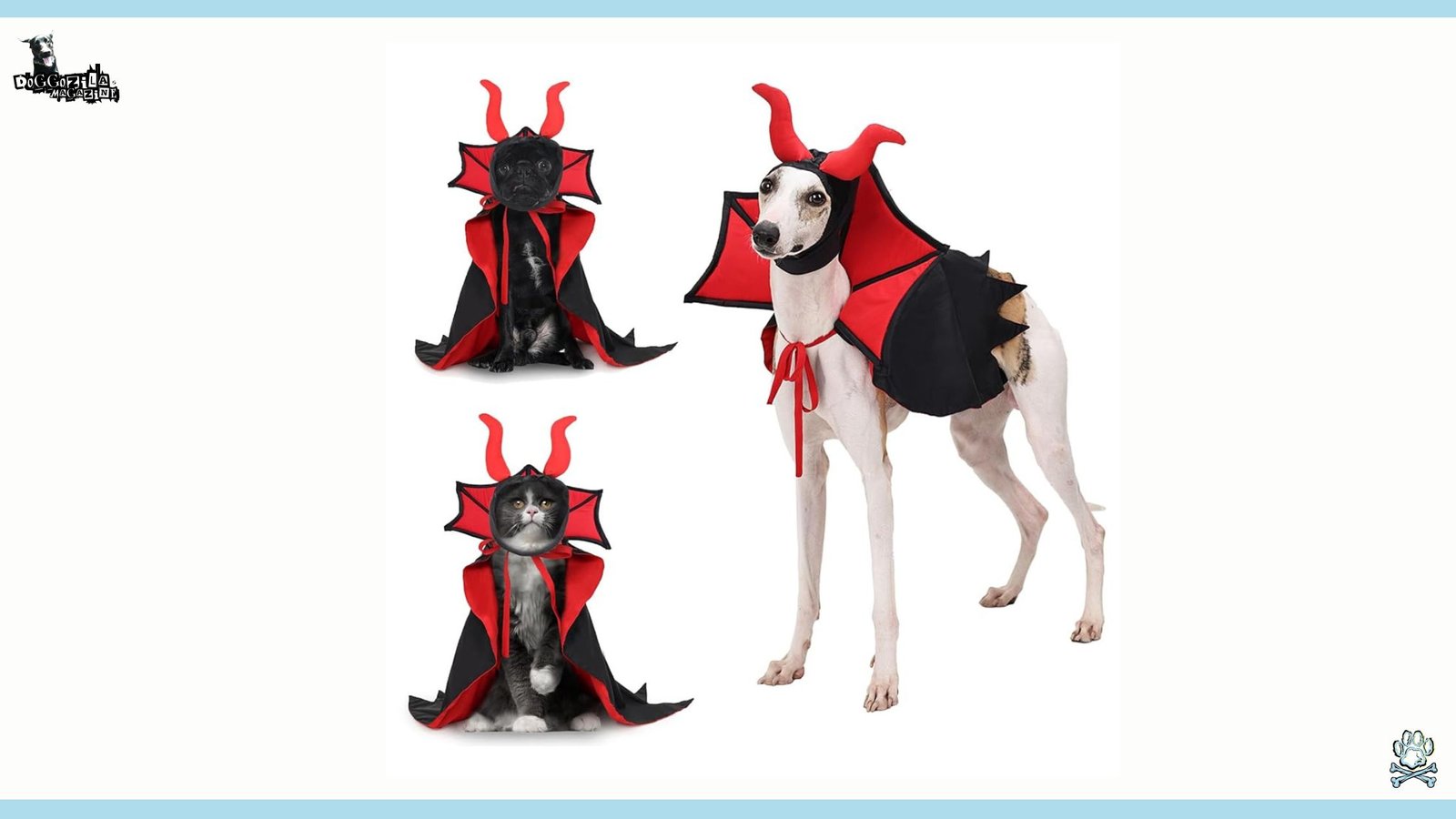 The Best Dog Halloween Costume Ideas