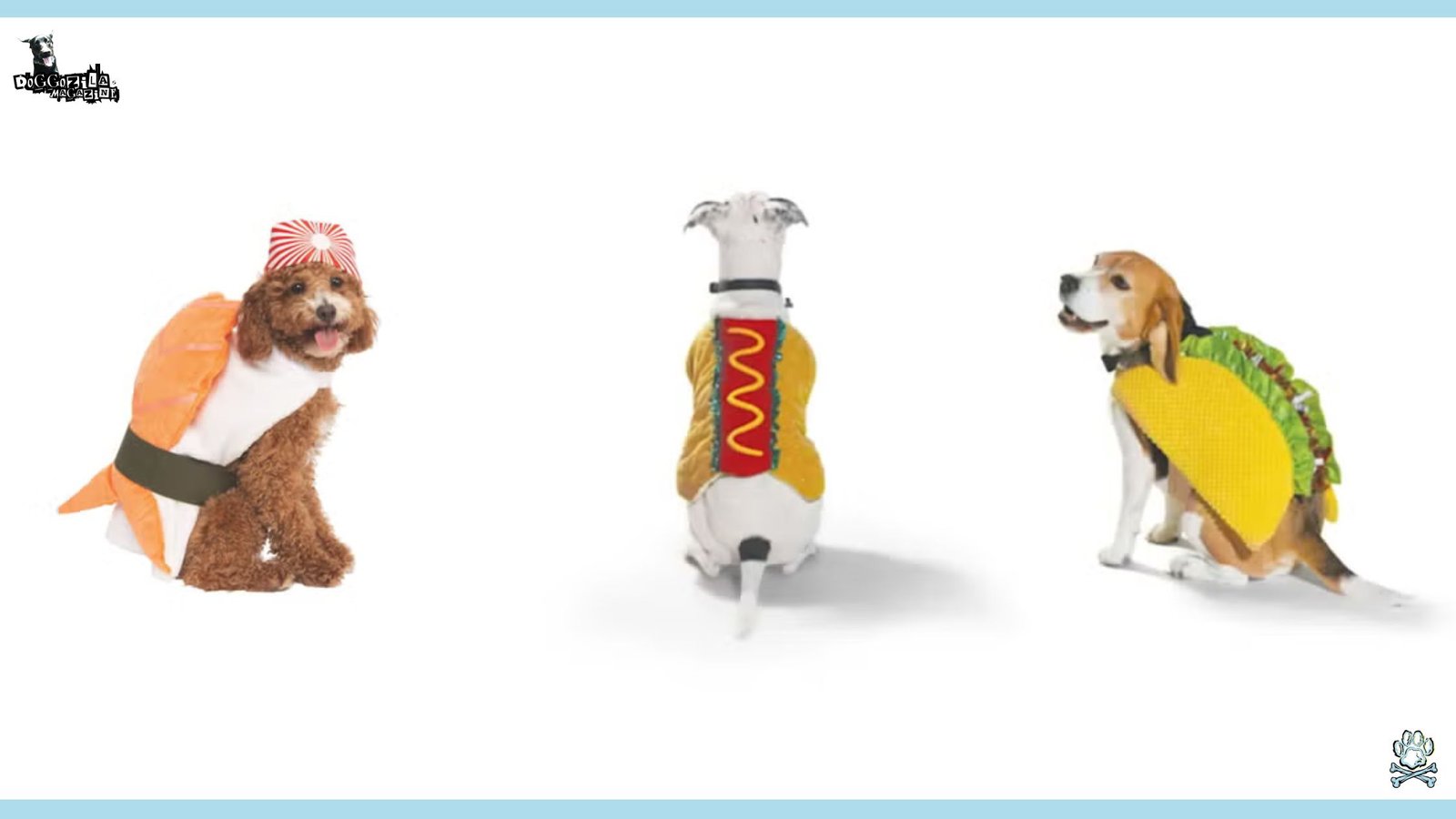 cute dogs in costumes