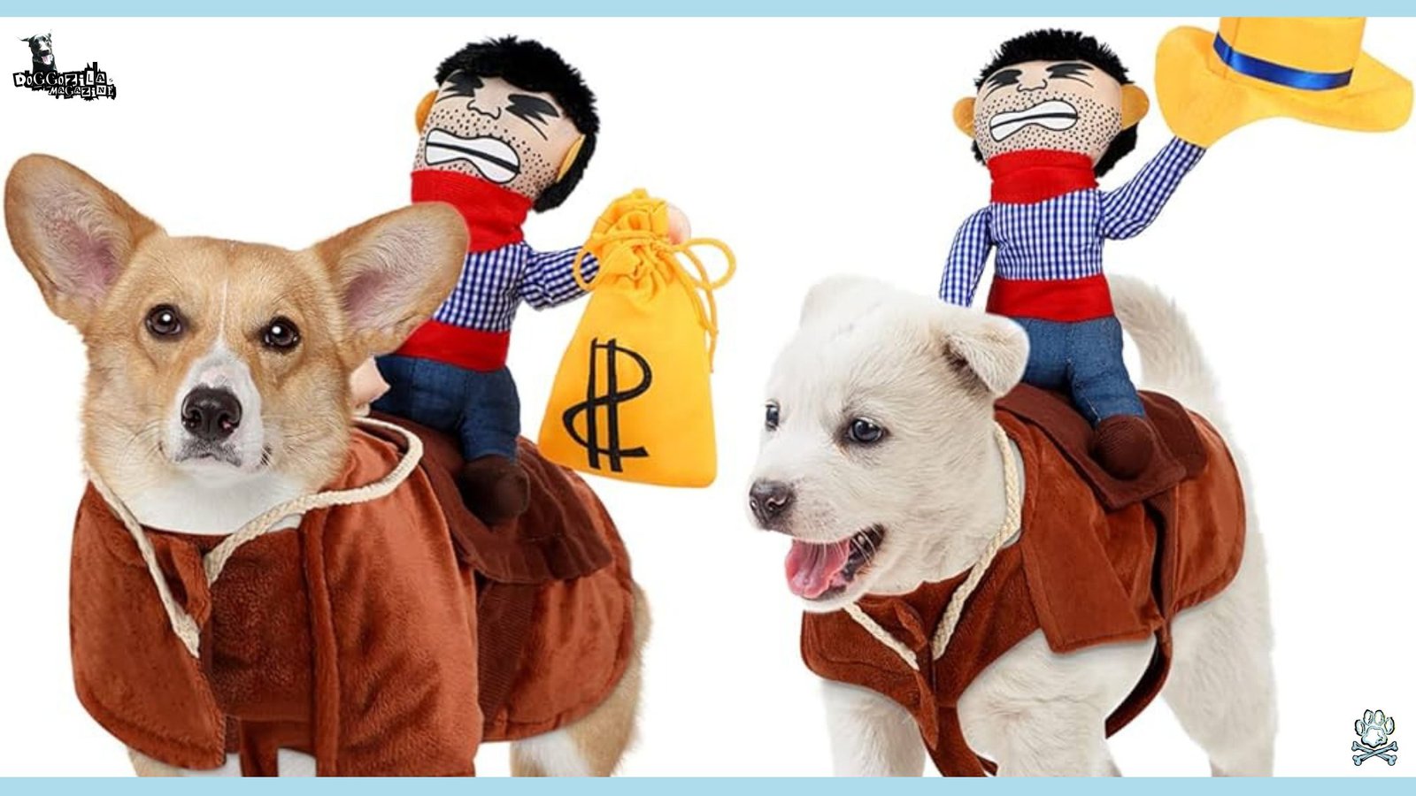 cutest dogs in costumes