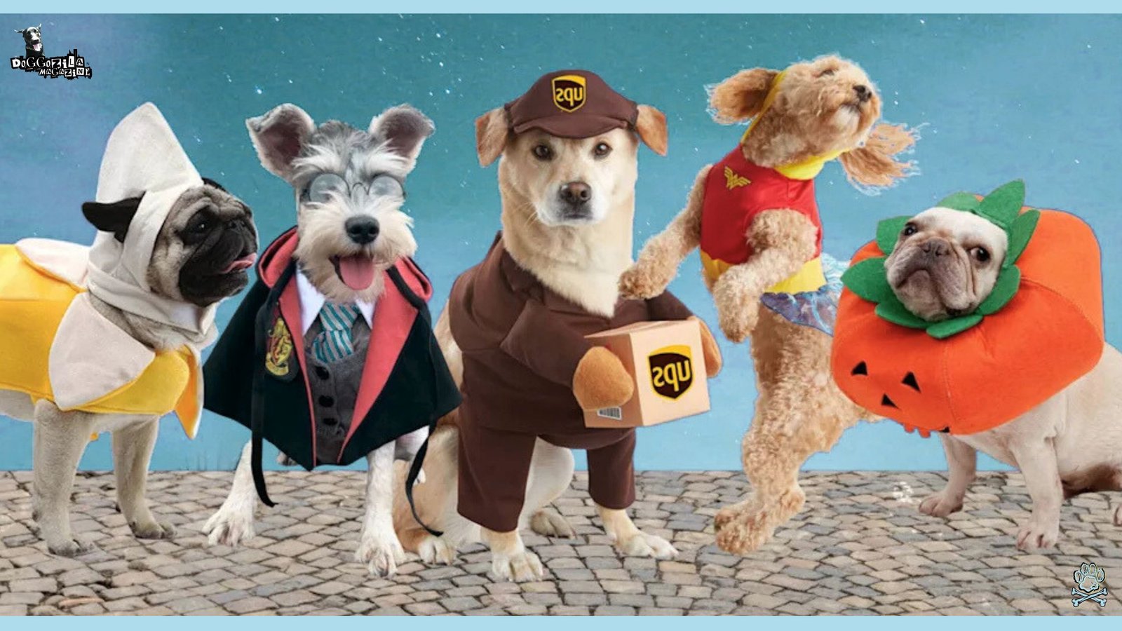The Best Dog Halloween Costume Ideas