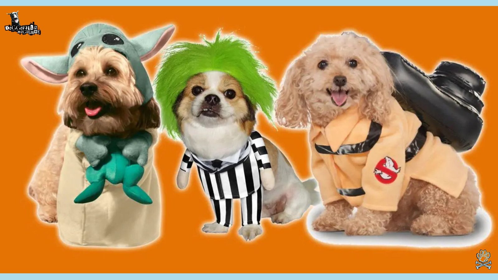 The Best Dog Halloween Costume Ideas