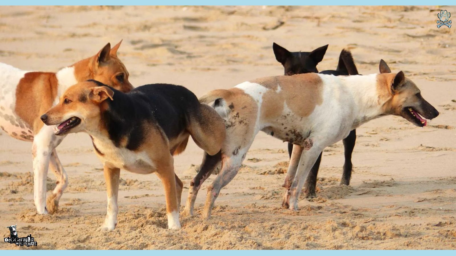 two dogs in difficult situation