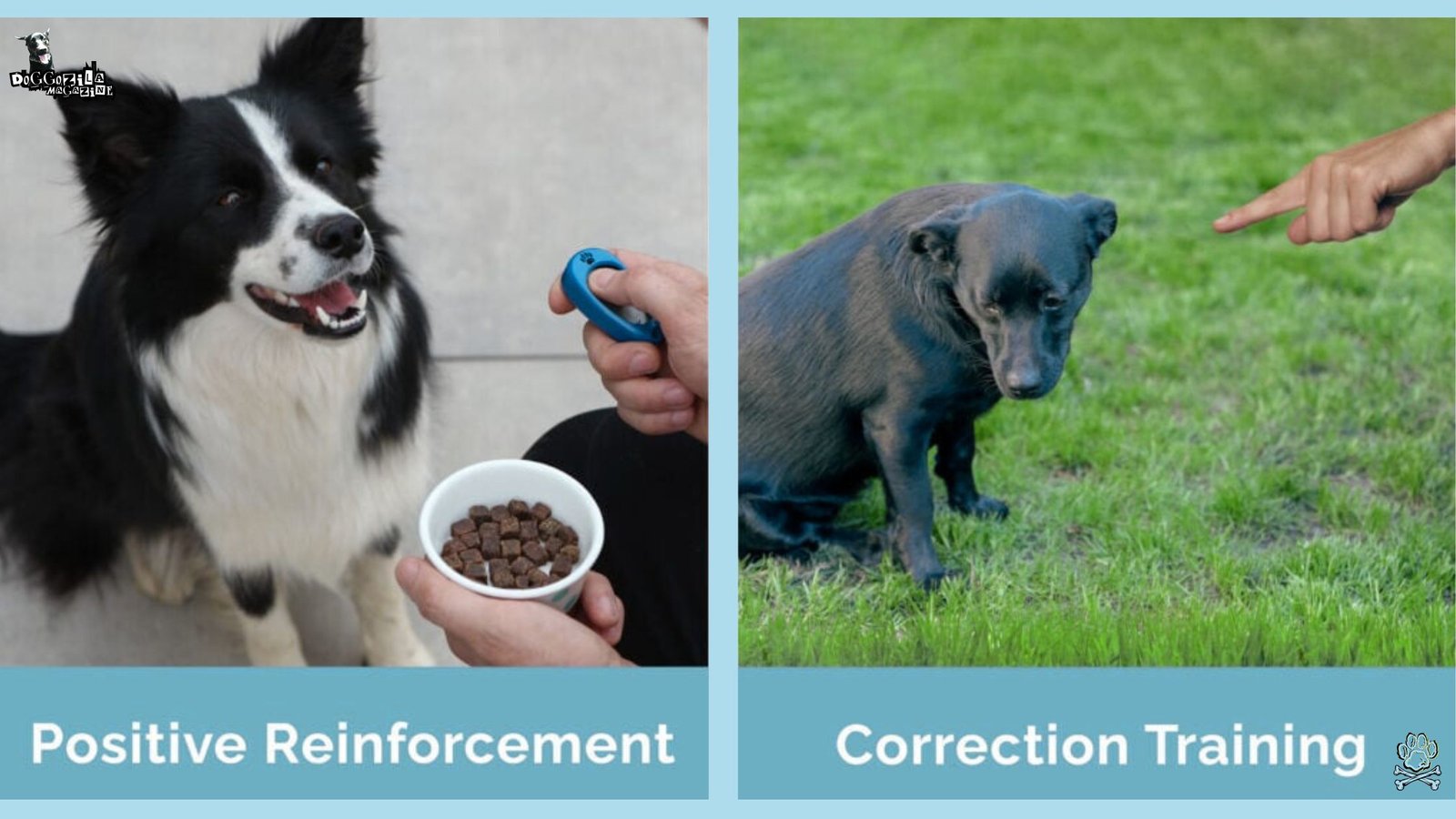 10 Essential Dog Behavior Tips - Positive reinforcement