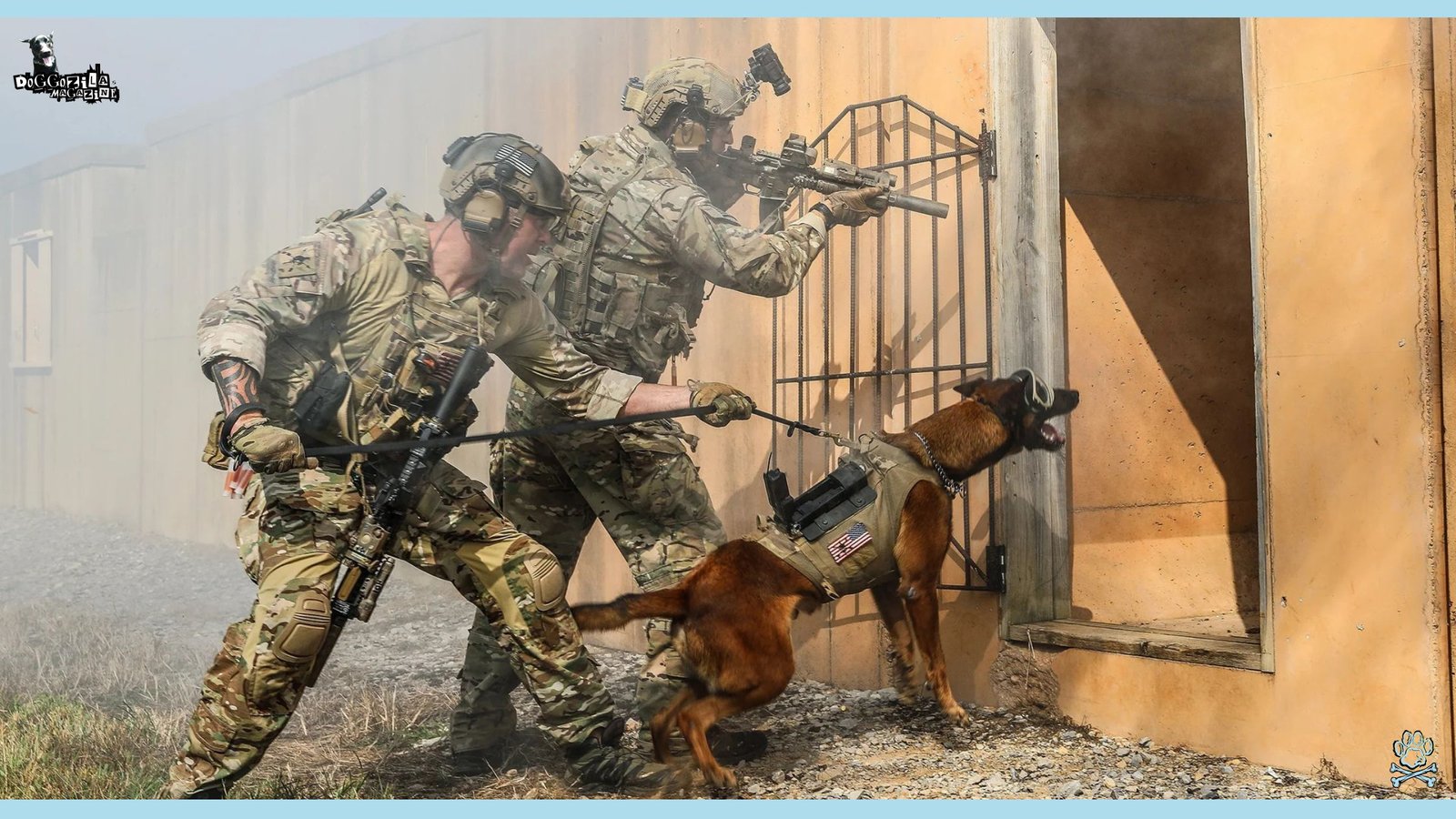 military dog at work at war