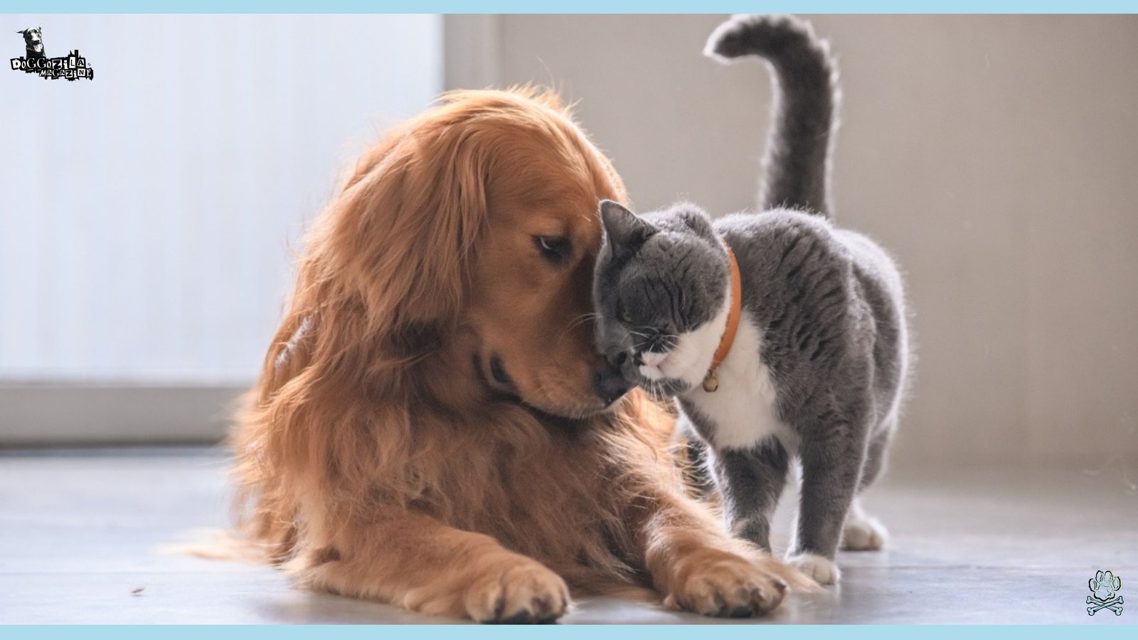 Can Dogs Have Autism