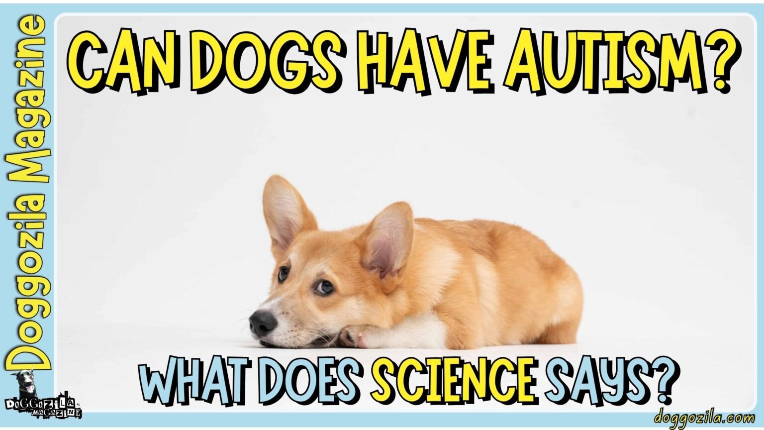 Can Dogs Have Autism