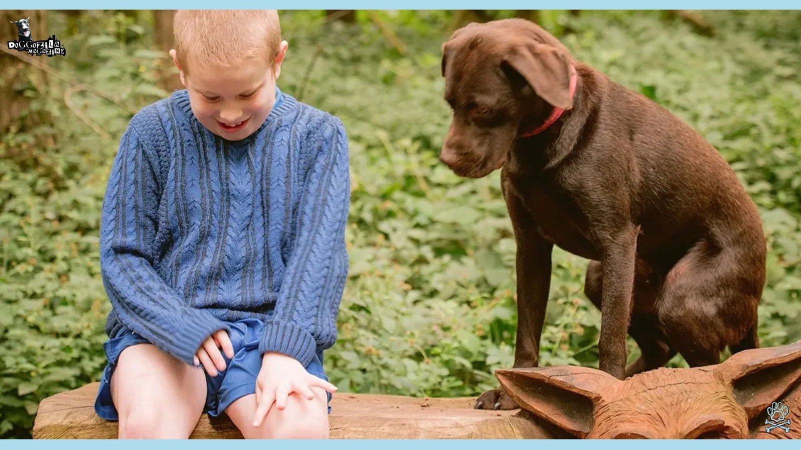 dog and puppy play in the park