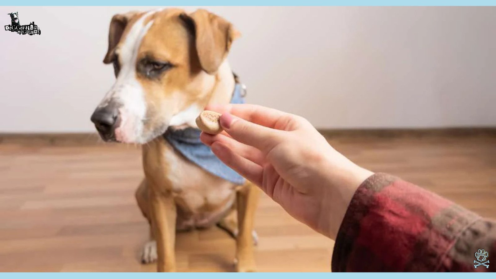 Discover Why Your Dog is Not Eating but Still Acting Normal