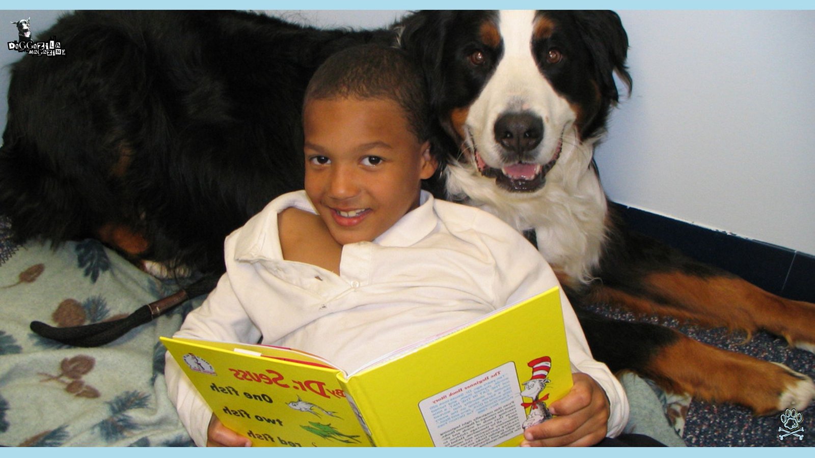 Reading to Dogs Programs