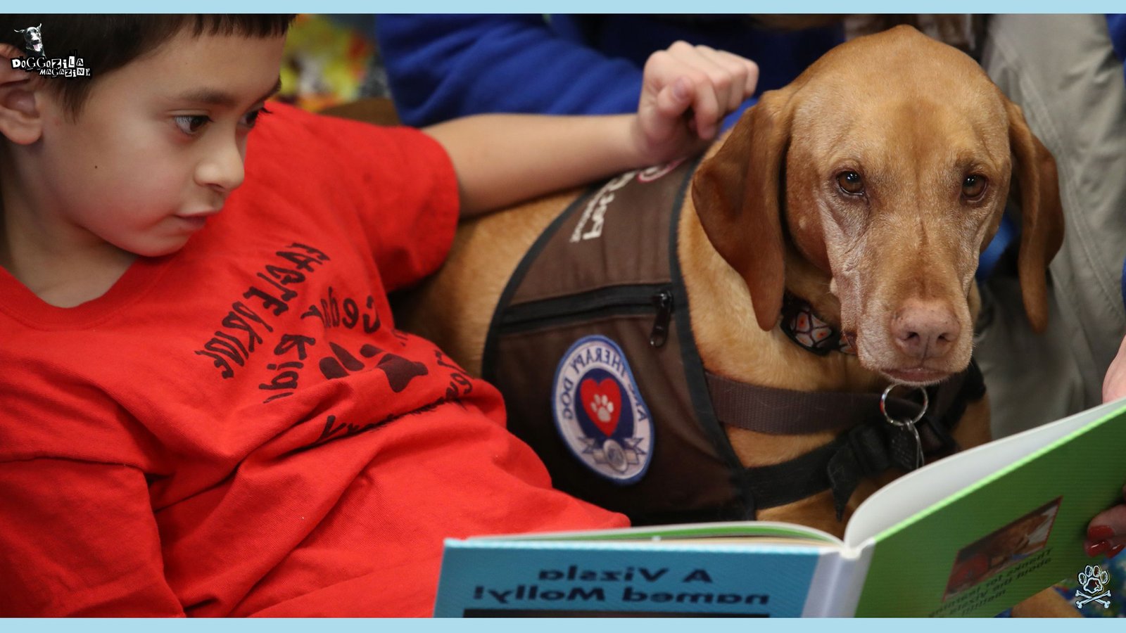 Tail Wagging Tutors’ Programs That Transform Literacy