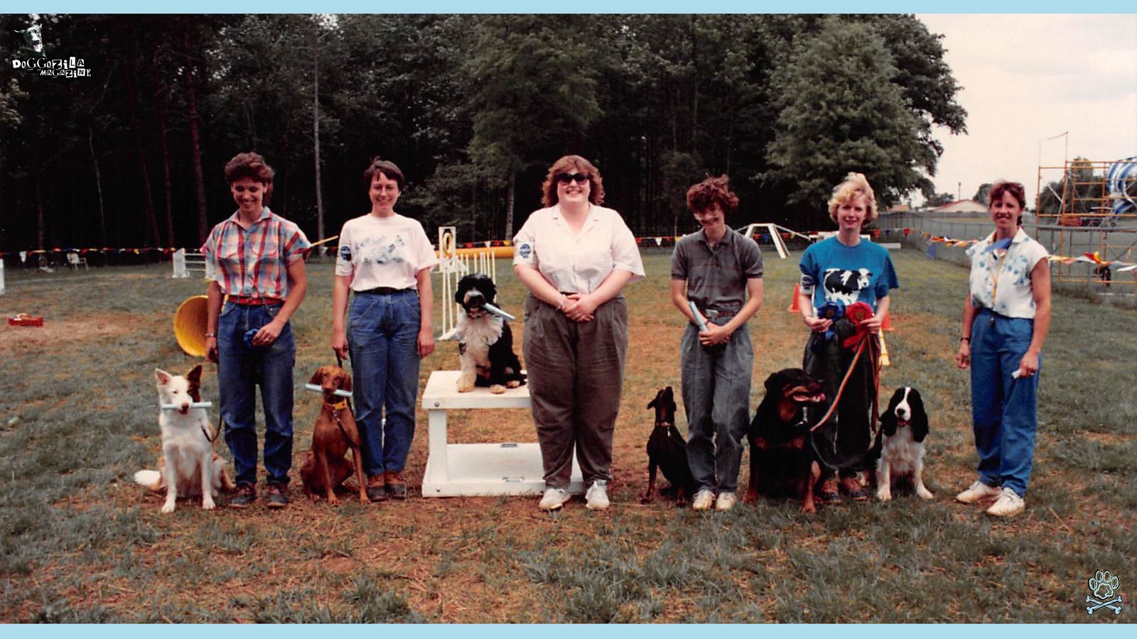 Guide to Dog Agility Training for Competitions