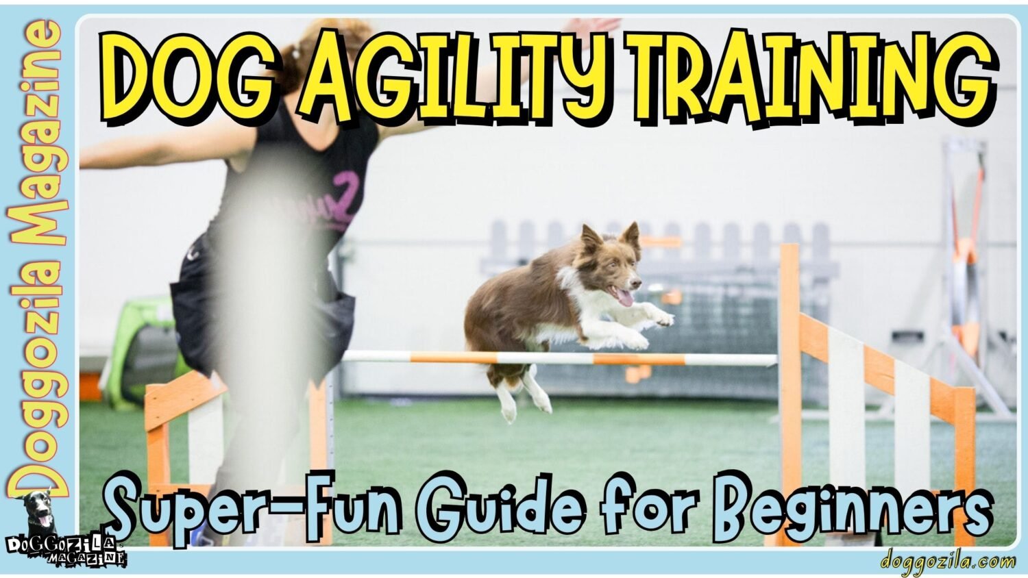 Guide to Dog Agility Training for Competitions