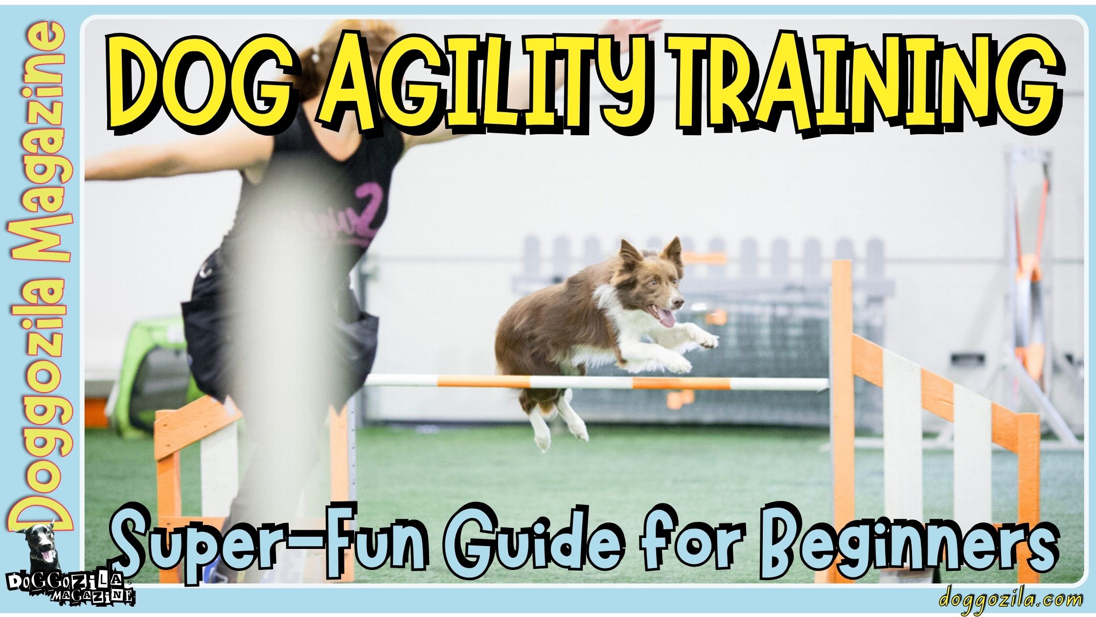 Guide to Dog Agility Training for Competitions
