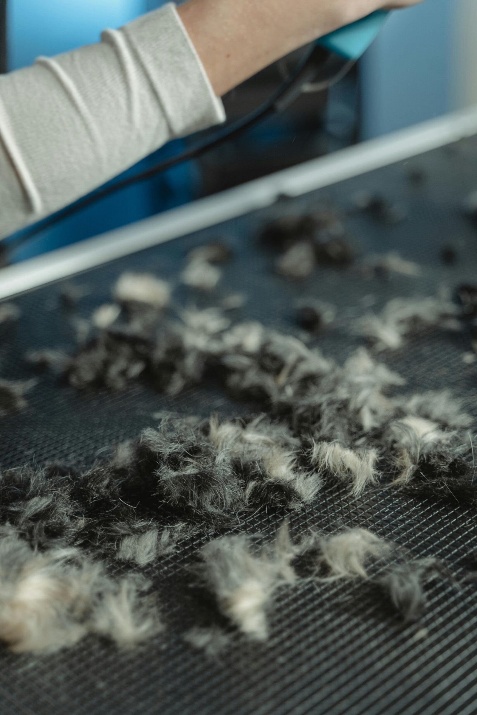 Detailed shot of pet hair on grooming table, illustrating animal care process and how to maintain your dog's fur
