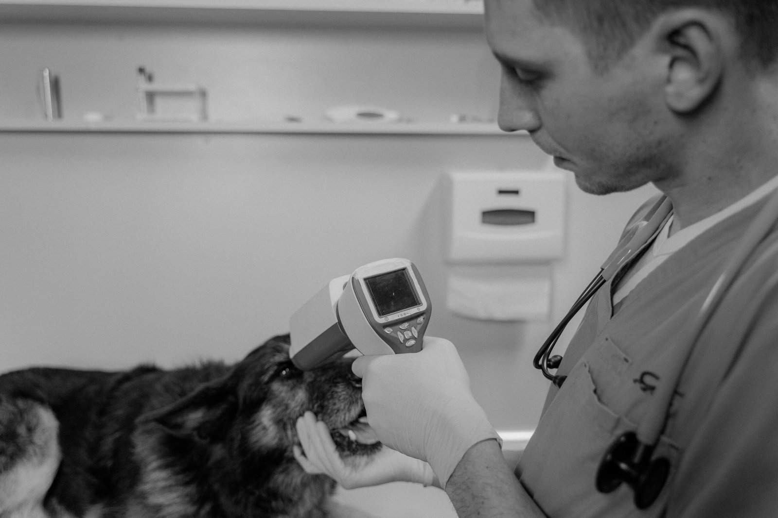 Vet examining a dog with medical equipment during a routine checkup at a clinic.