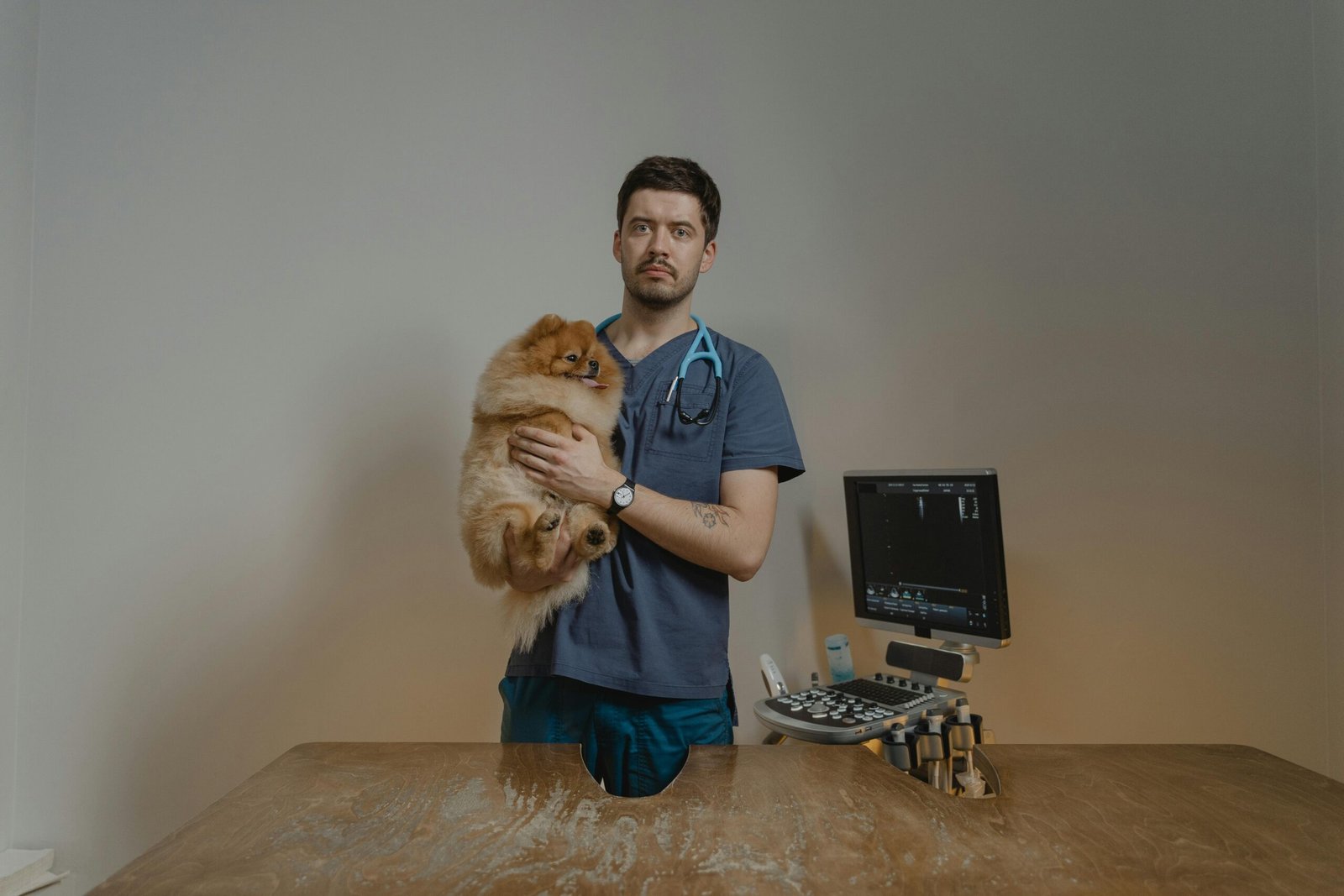 Veterinarian holding a Pomeranian with ultrasound machine in clinic. dog care tips