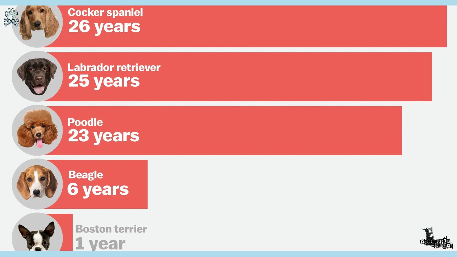 top Historical Dog Breeds in America