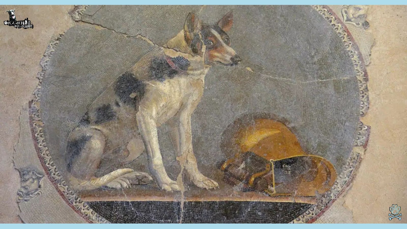 Historical Dog Breeds from the roman times