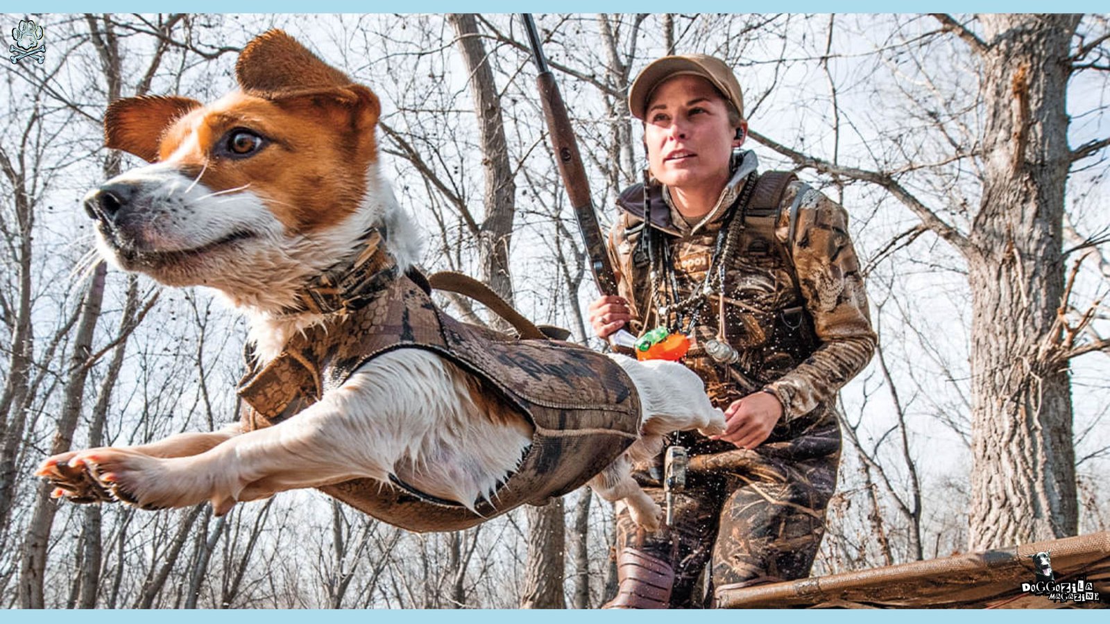 Jack Russell Terrier Dog Breed Information