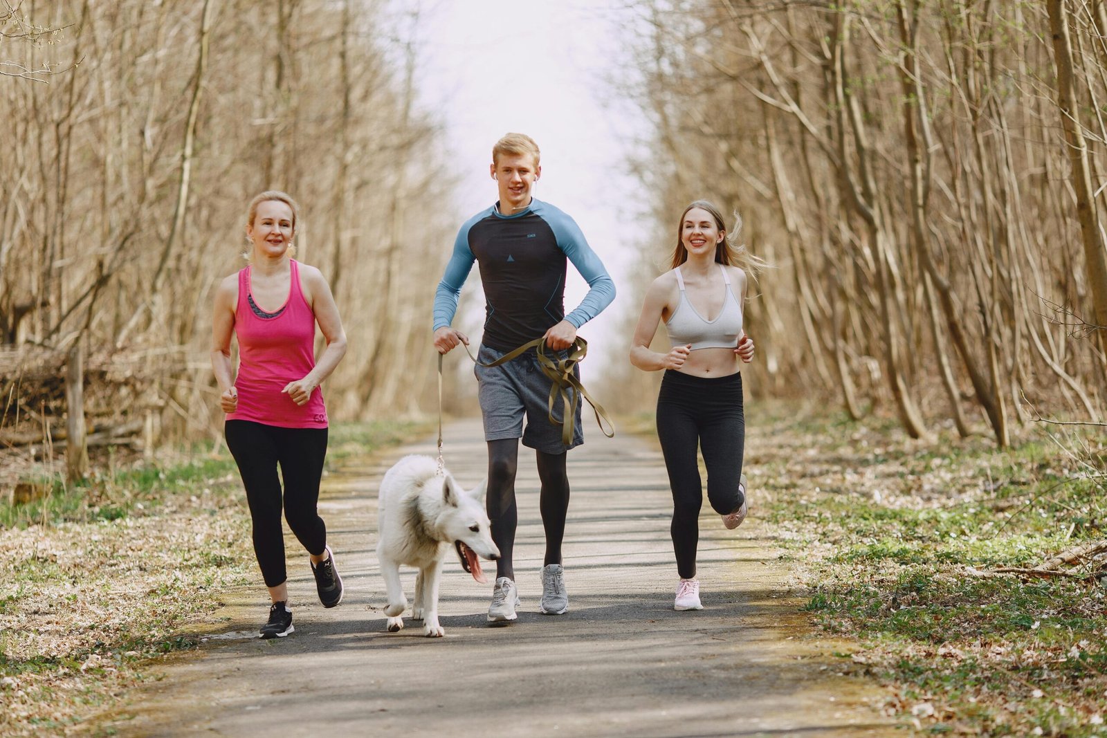 Three adults jogging with a dog on a forest path on a bright spring day, promoting healthy living.