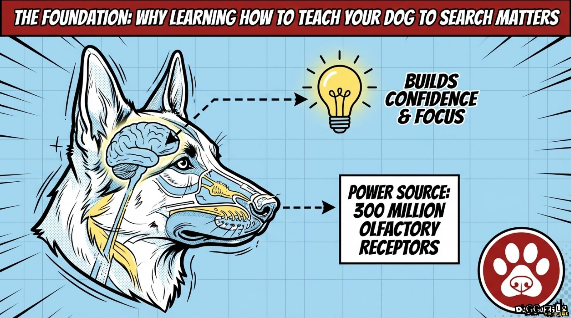 why learning to teach your dog to search matters