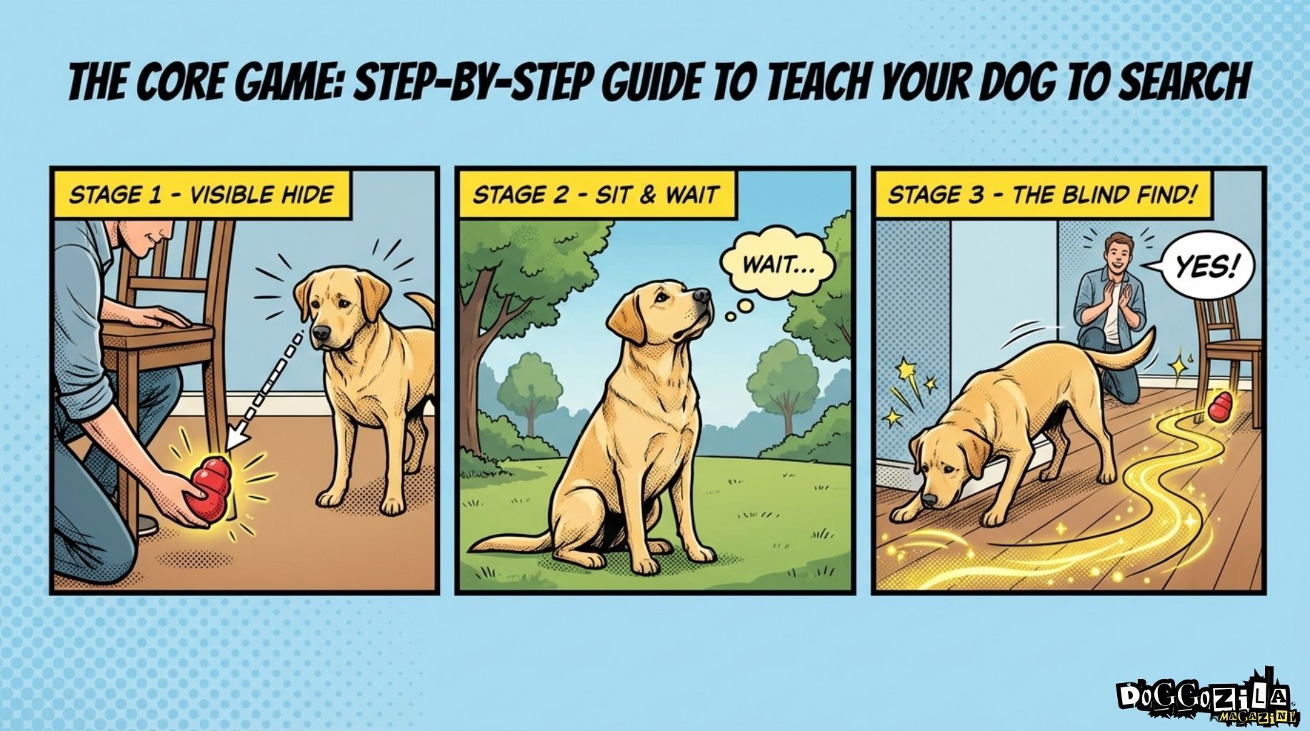 step by step guide to teach your dog to search