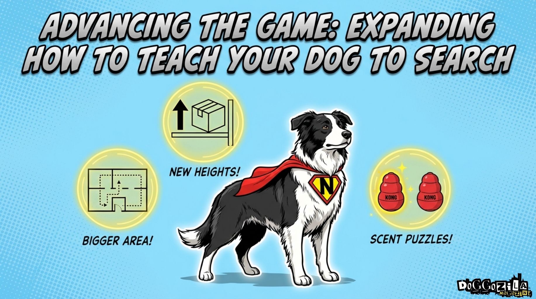 How to expand the game when you teach your dog to search
