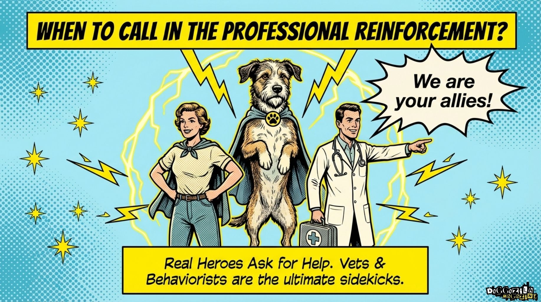 when to call professional help to to help an abused dog recover