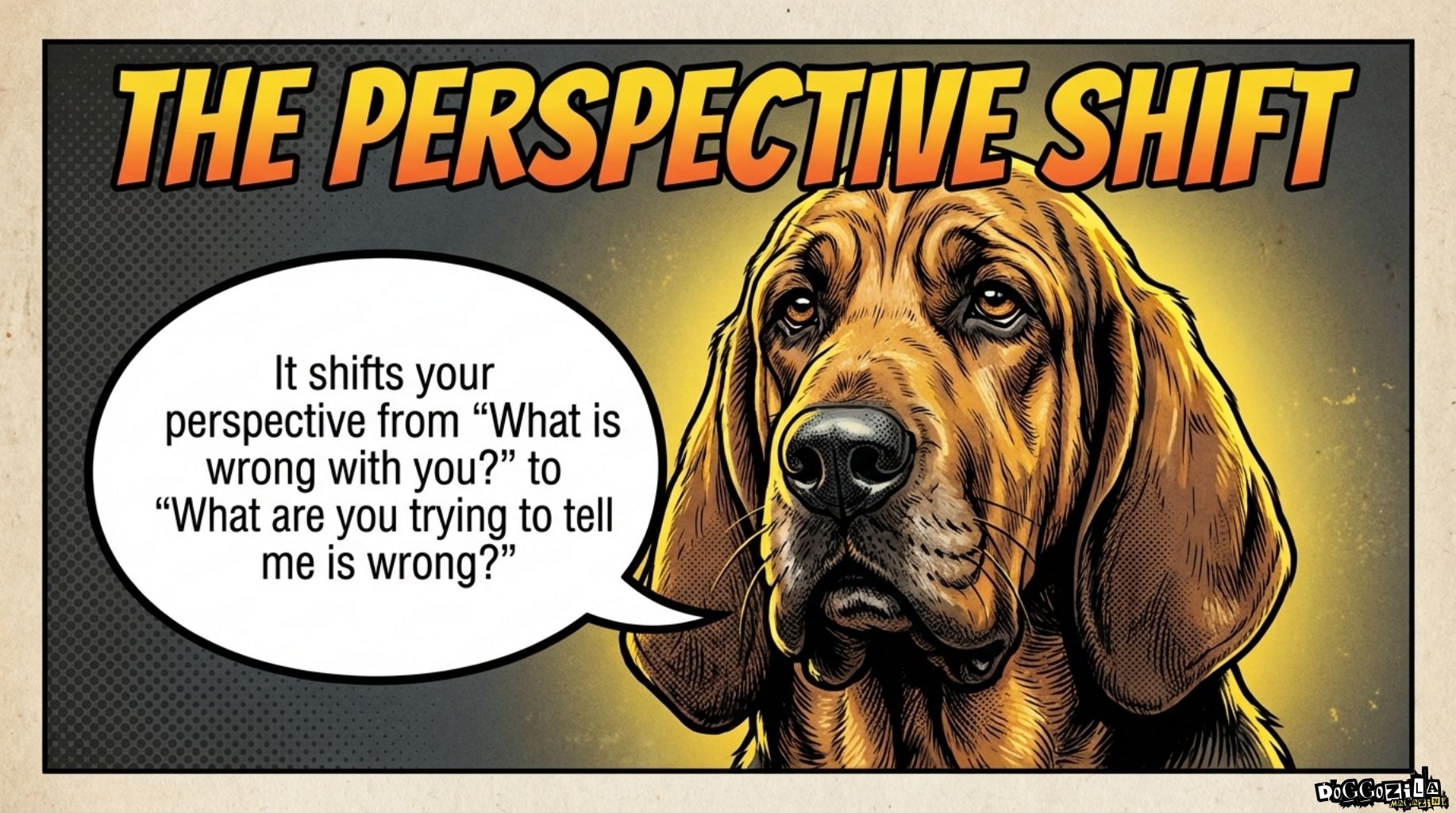 The perspective about dog fear