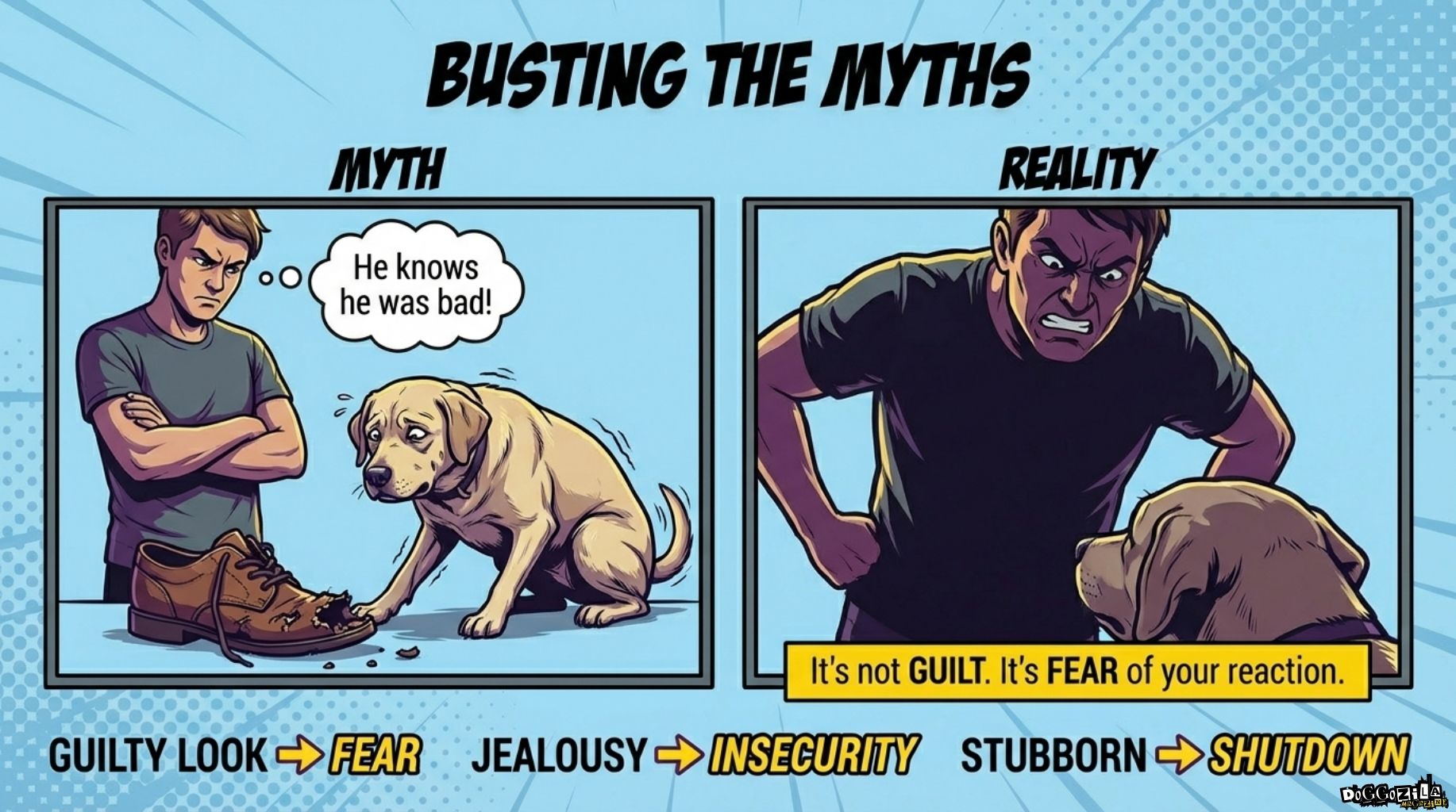 myths about fear and worry in dogs