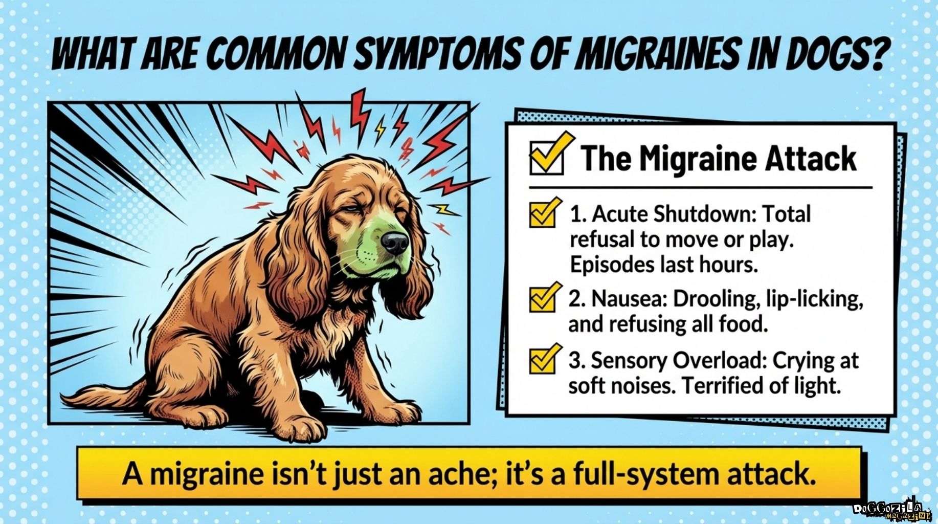 common signs and symptoms of headaches and migraines in dogs